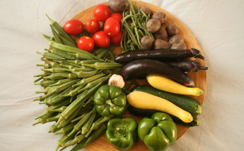 #3 – Principii nutritive și alimente – 1